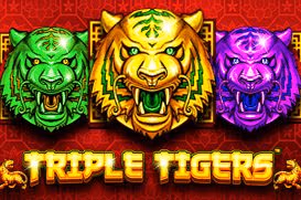 tripletigers